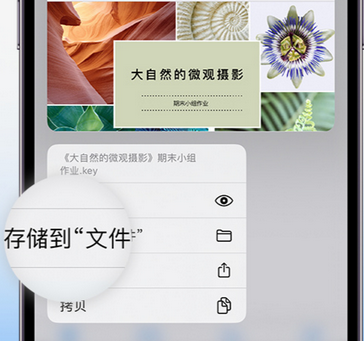 临淄apple维修中心分享iPhone文件应用中存储和找到下载文件