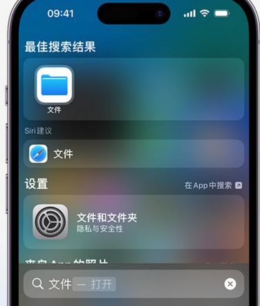 临淄apple维修中心分享iPhone文件应用中存储和找到下载文件 