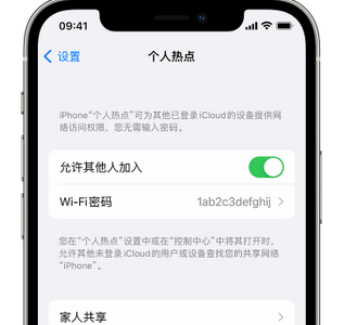 临淄apple服务站点分享iPhone上个人热点丢失了怎么办