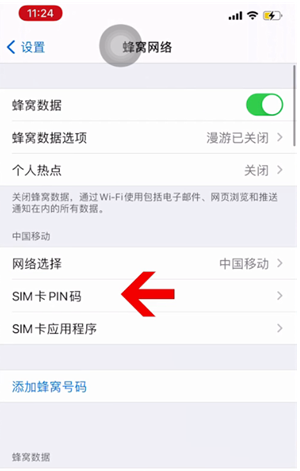 临淄苹果14维修网分享如何给iPhone14的SIM卡设置密码 