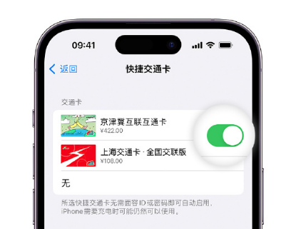 临淄apple维修点分享iPhone上更换Apple Pay快捷交通卡手绘卡面 