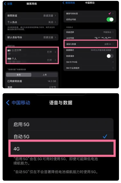 临淄苹果手机维修分享iPhone14如何切换4G/5G? iPhone14 5G网络切换方法 