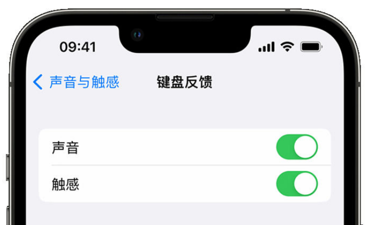 临淄苹果手机维修分享iPhone 14触感键盘使用方法 