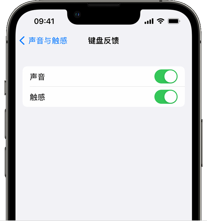 临淄苹果14维修店分享如何在 iPhone 14 机型中使用触感键盘 