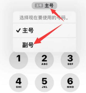 临淄苹果14维修店分享iPhone 14 Pro Max使用副卡打电话的方法 