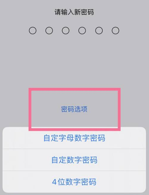 临淄苹果14维修分享iPhone 14plus设置密码的方法 