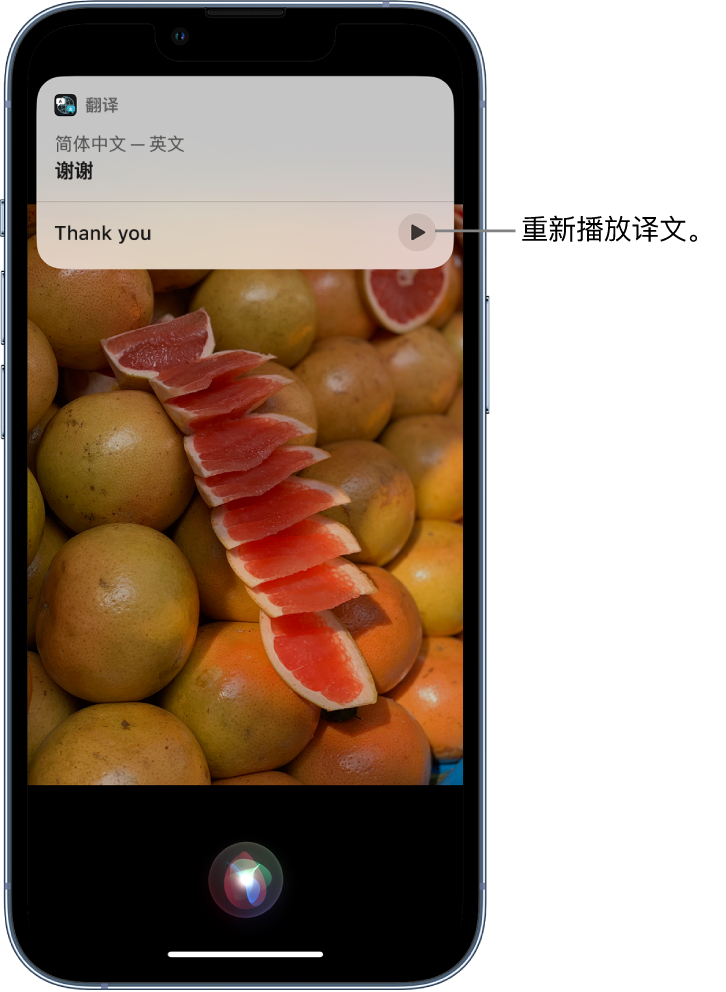 临淄苹果14维修分享 iPhone 14 机型中使用 Siri：了解 Siri 能帮你做什么 