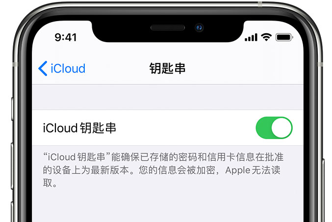 临淄苹果手机维修分享在 iPhone 上开启 iCloud 钥匙串之后会储存哪些信息 