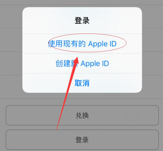 临淄苹果手机维修分享两台iPhone设备可以同时登录一个Apple ID吗 