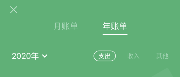 临淄苹果手机维修分享如何在 iPhone 上查看支付宝和微信年支出账单 